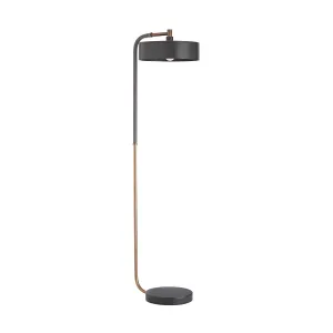 Aaron One Light Floor Lamp