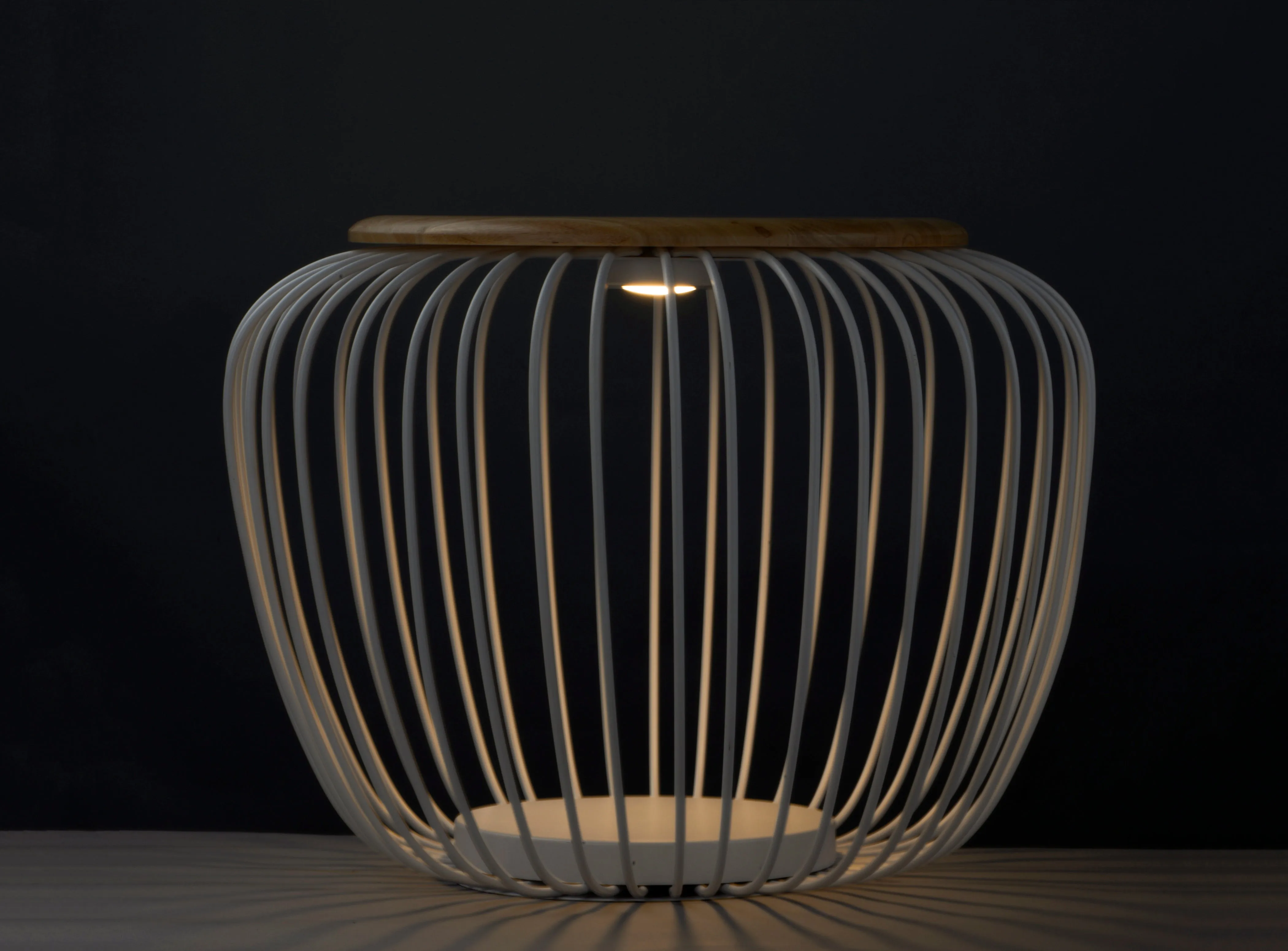 Cage Floor Lamp
