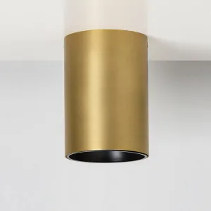 CANNON C 160/115 3K/4K BRASS LED CEILING LIGHT