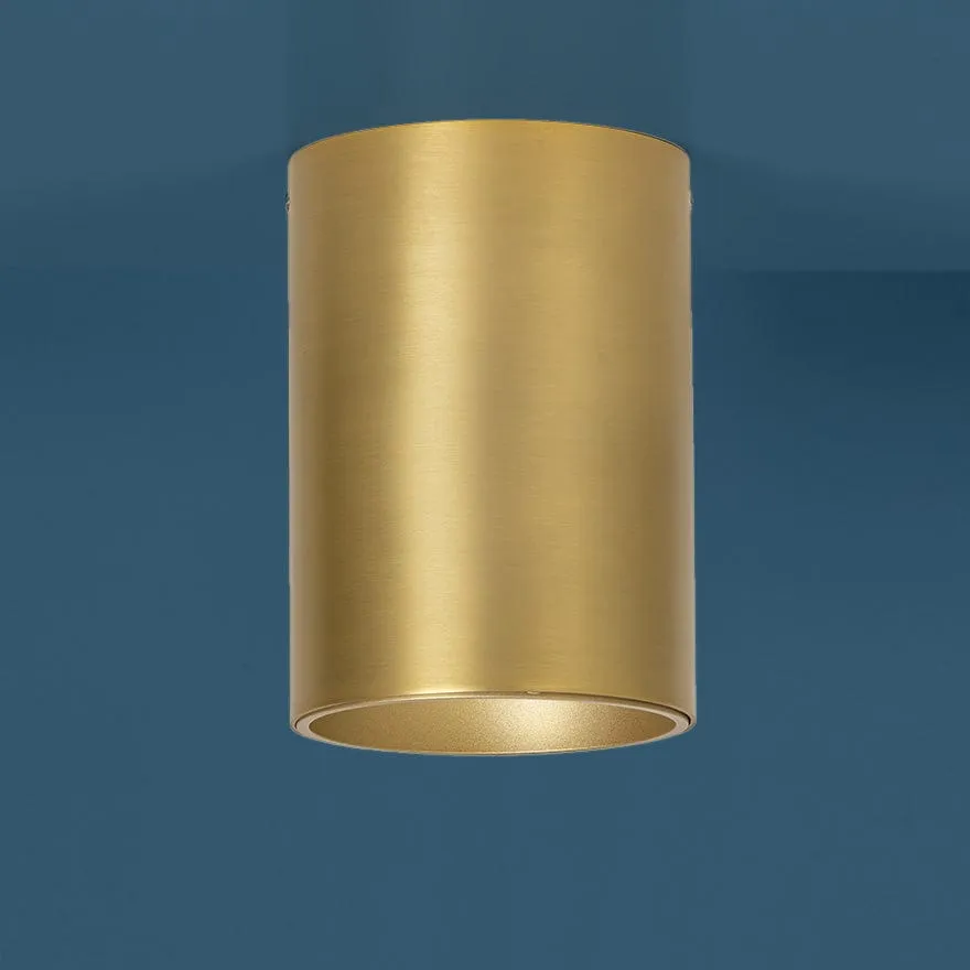 CANNON C 160/115 3K/4K BRASS LED CEILING LIGHT