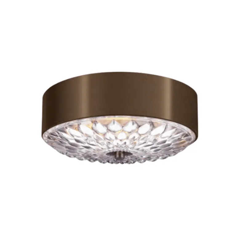 Floral Inspired Transitional Ceiling Light