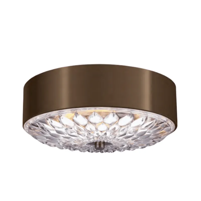 Floral Inspired Transitional Ceiling Light