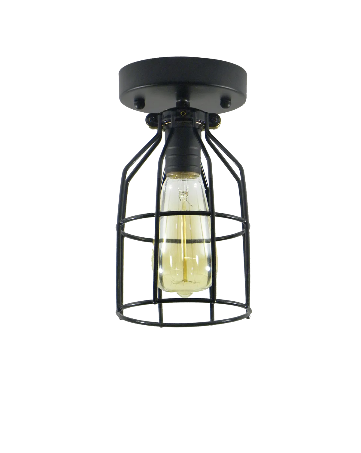 Flush Mount: Black Cage Light