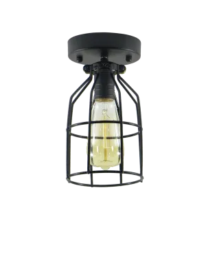 Flush Mount: Black Cage Light