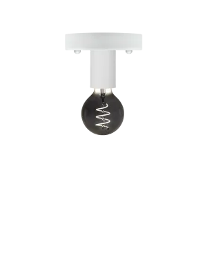 Flush Mount: White with Smoke