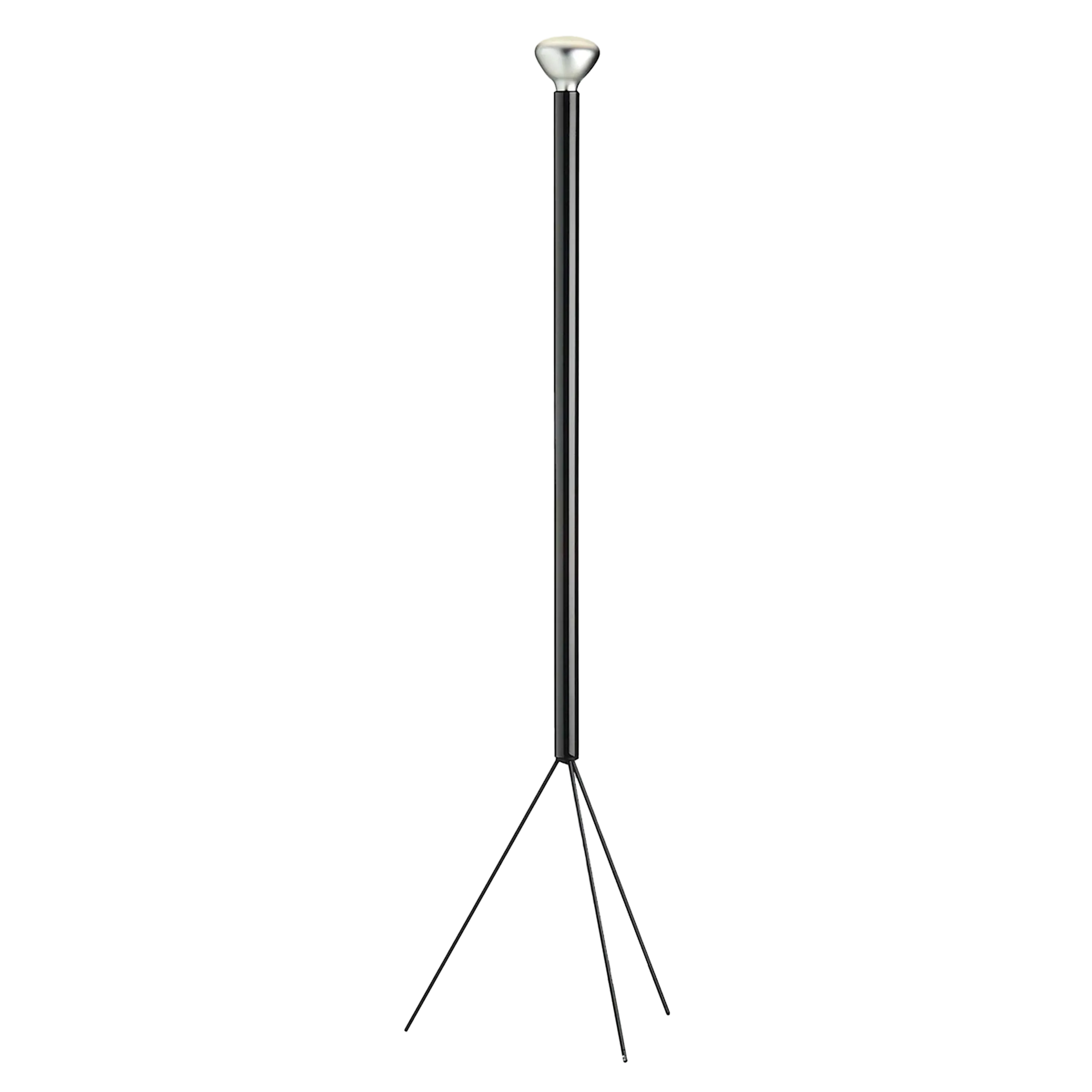 Luminator Floor Light