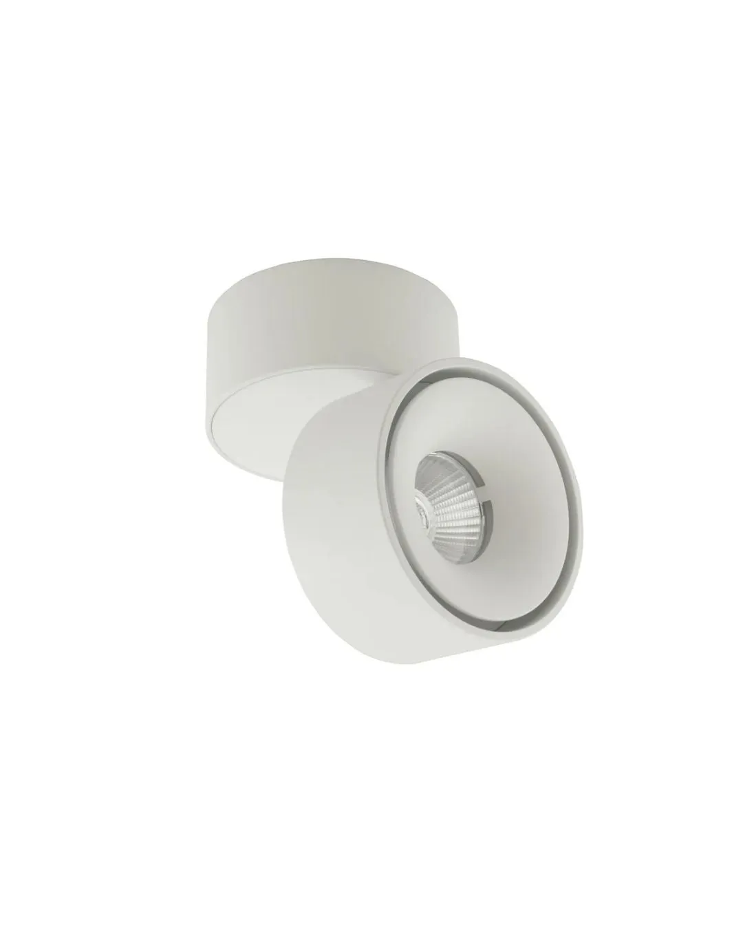 Mini Adjustable LED Spot Light
