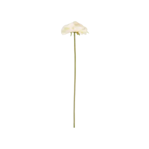 Peony Garden Stem