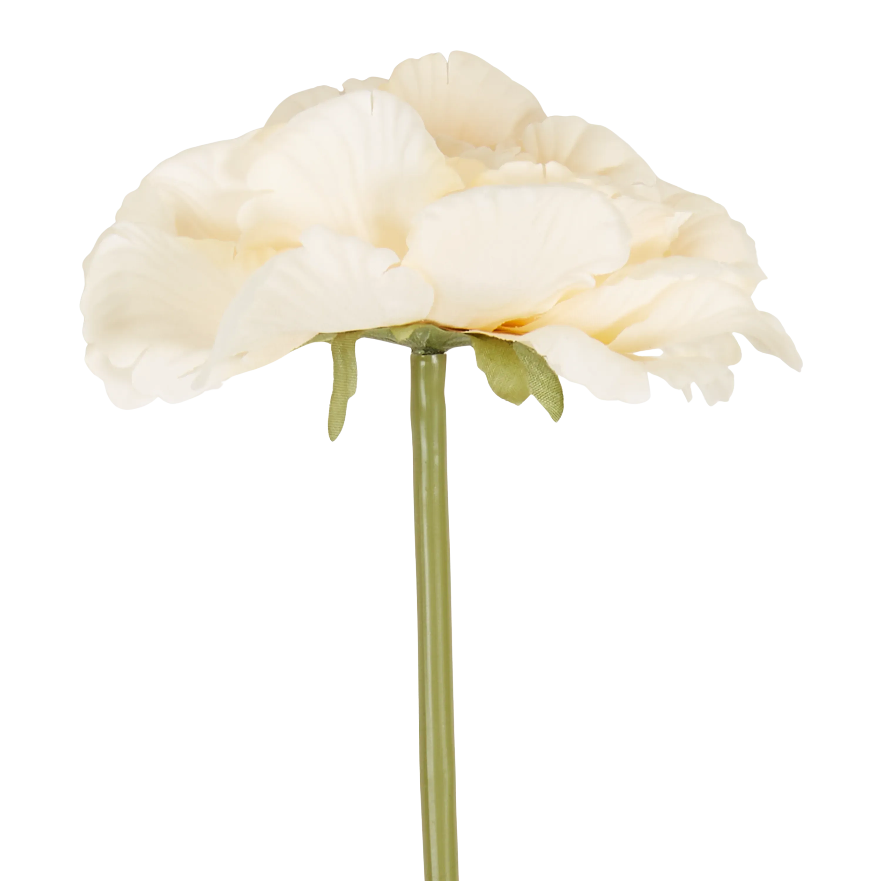 Peony Garden Stem