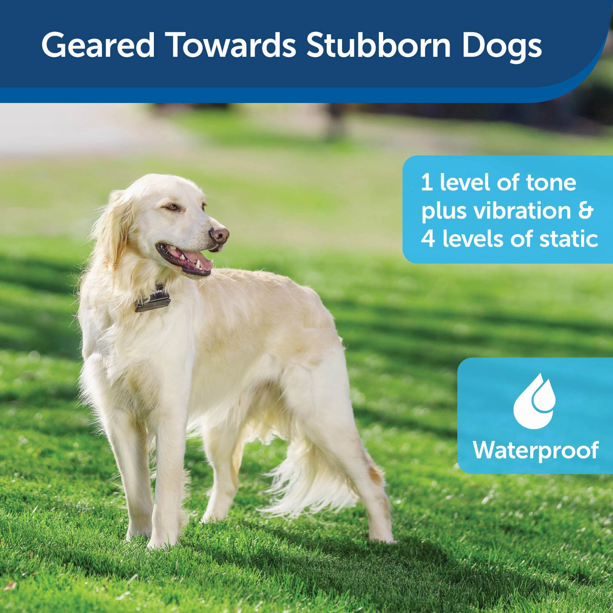 PetSafe Stubborn Dog Receiver Collar Only - In-Ground Fence Collar, Waterproof, with Tone, Vibration and Static Correction for Dogs 8lb and Up - From The Parent Company of INVISIBLE FENCE Brand