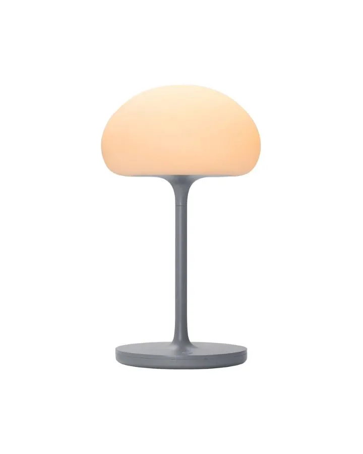 Scandinavian Portable Ovate Table Lamp