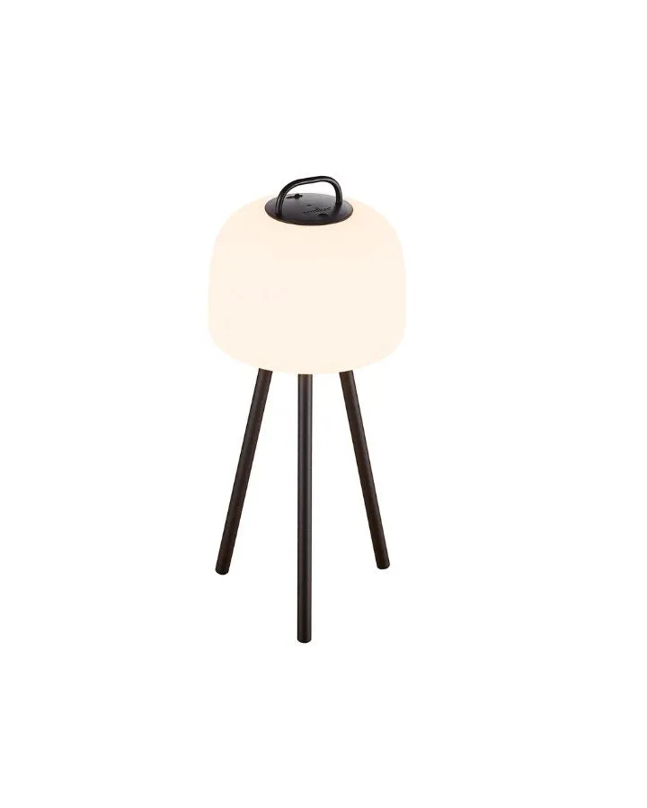 Scandinavian Transportable Table Lamp