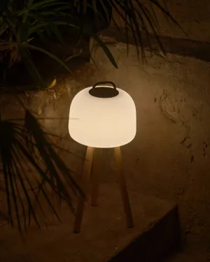 Scandinavian Transportable Table Lamp
