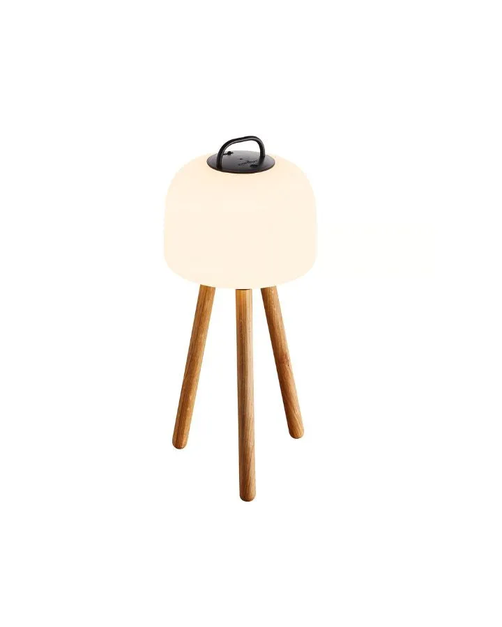 Scandinavian Transportable Table Lamp