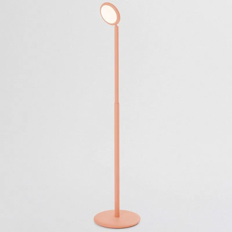 Smart Adjustable Floor Lamp | Assorted Finishes