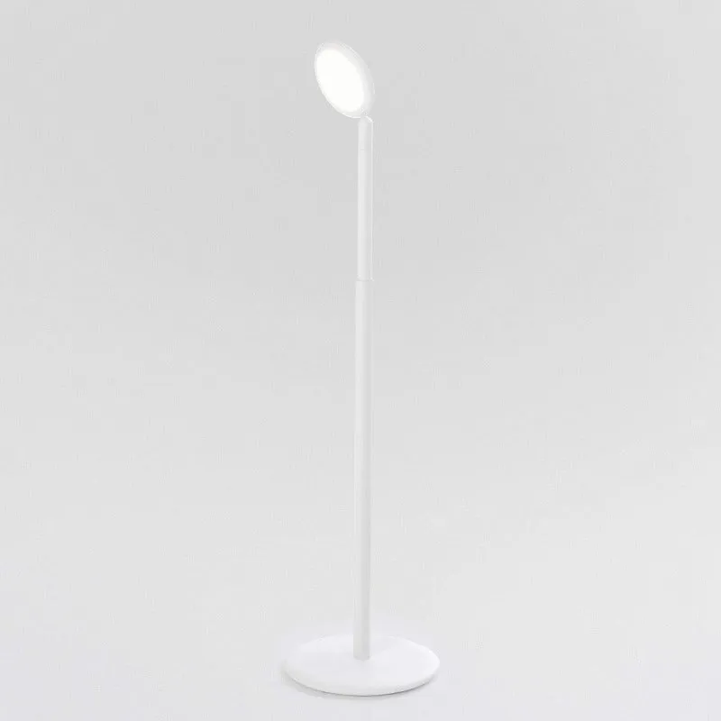 Smart Adjustable Floor Lamp | Assorted Finishes