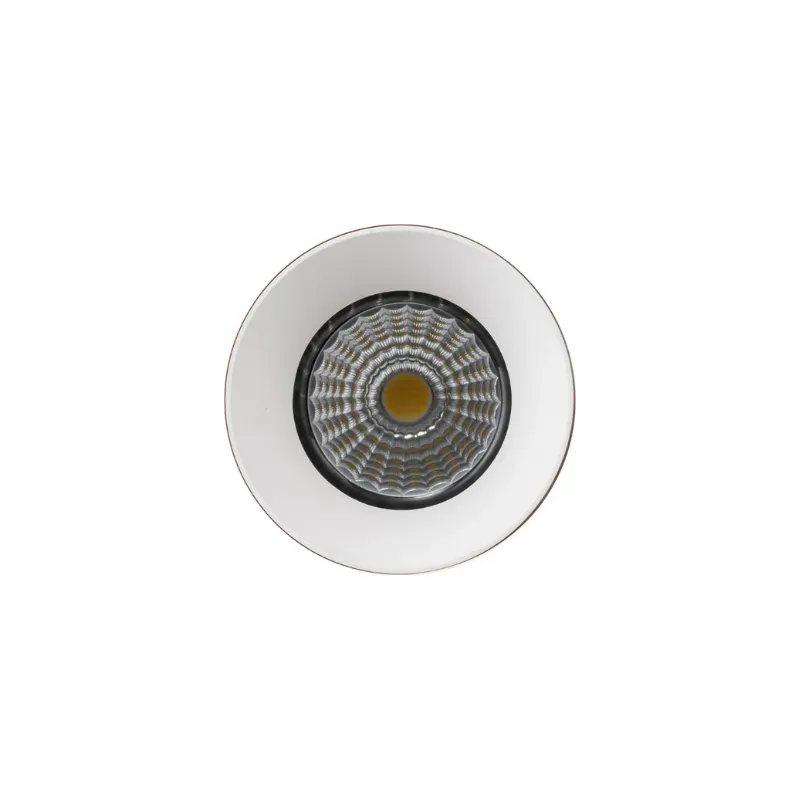 Trimless LED Downlight | 5 Colour LED